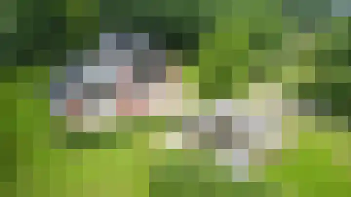 Warmseweg 2 Etten thumbnail 91