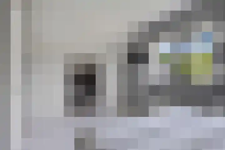 Warring 16 Joure thumbnail 22