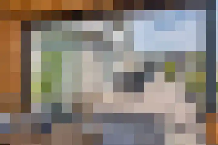 Warring 16 Joure thumbnail 37