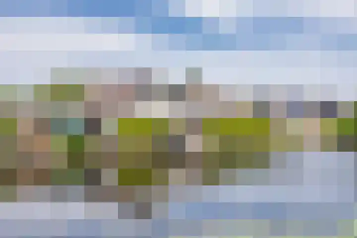 Warring 16 Joure thumbnail 4