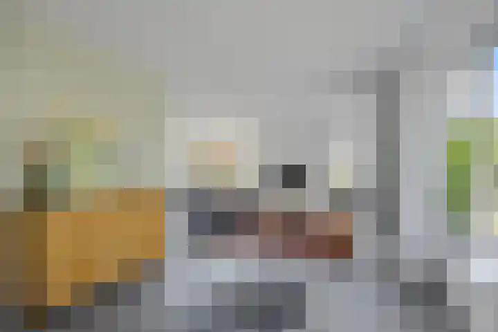 Warring 16 Joure thumbnail 6