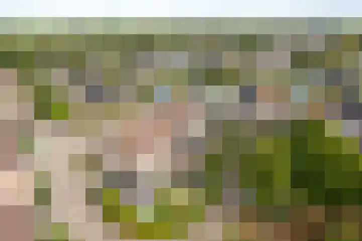 Warring 29 Joure thumbnail 32