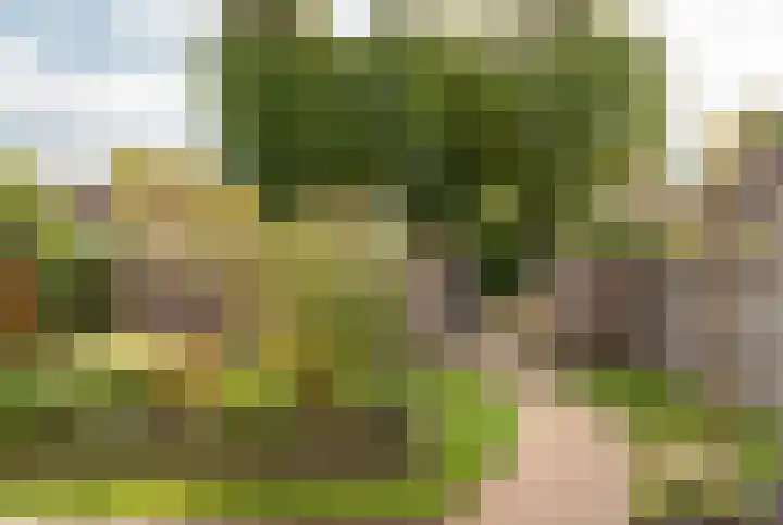 Warring 29 Joure thumbnail 37