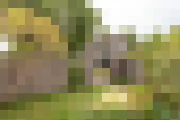 Warring 29 Joure thumbnail 38