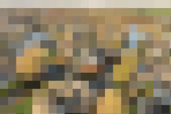Warring 46 Joure thumbnail 39