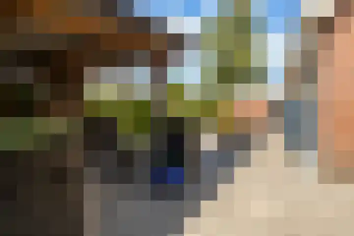 Warring 65 Joure thumbnail 54