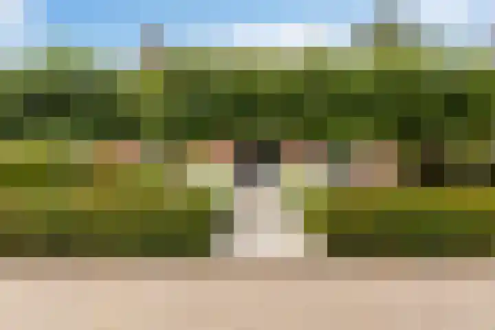 Warring 65 Joure thumbnail 58