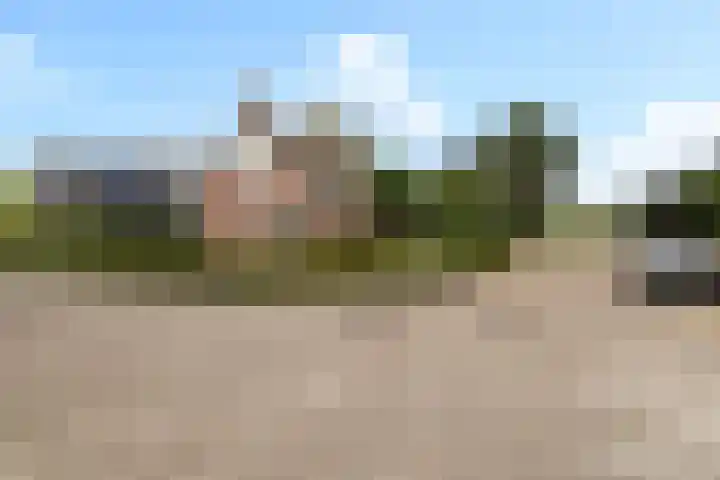 Warring 65 Joure thumbnail 59