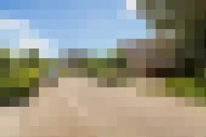 Warring 65 Joure thumbnail 62