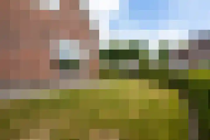 Warring 65 Joure thumbnail 66