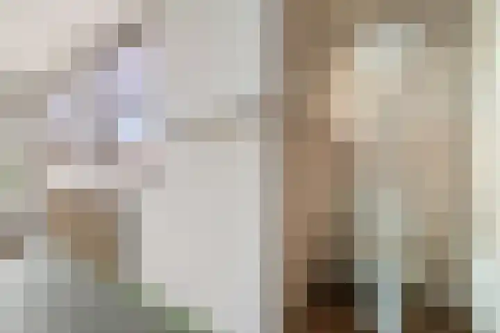 Wartenterp 17 Abbega thumbnail 13