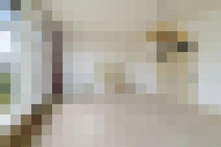 Wartenterp 17 Abbega thumbnail 18