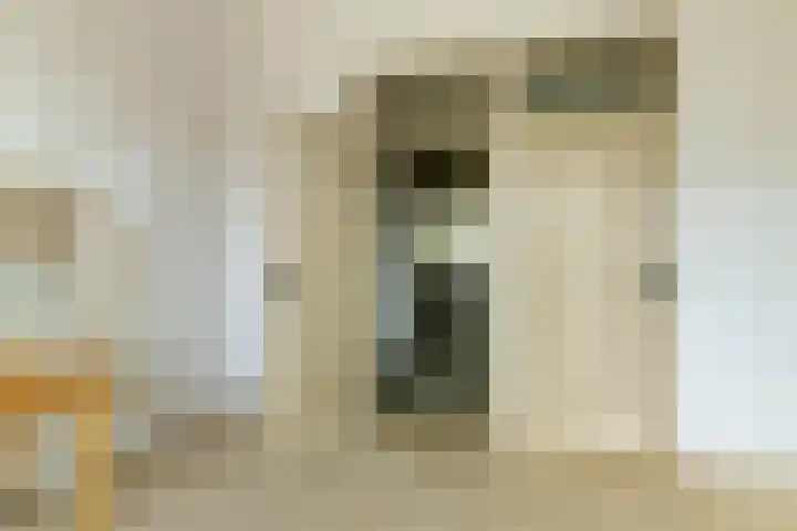 Wartenterp 17 Abbega thumbnail 25