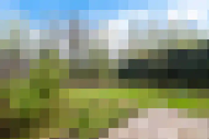 Wartenterp 17 Abbega thumbnail 26