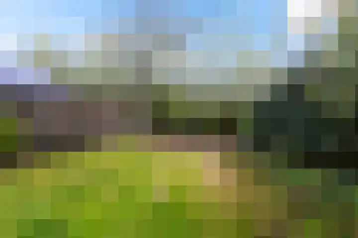 Wartenterp 17 Abbega thumbnail 29