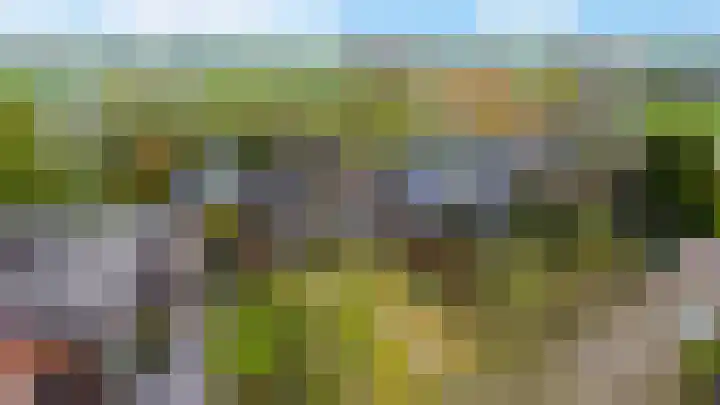 Wartenterp 17 Abbega thumbnail 34
