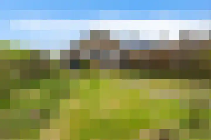 Wartenterp 17 Abbega thumbnail 4