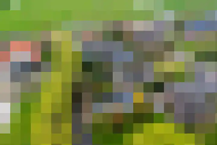 Wartenterp 17 Abbega thumbnail 7