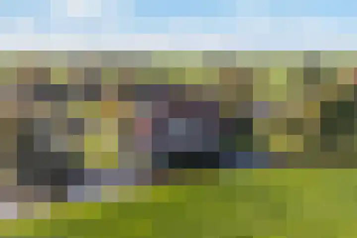 Wartenterp 3 Abbega
