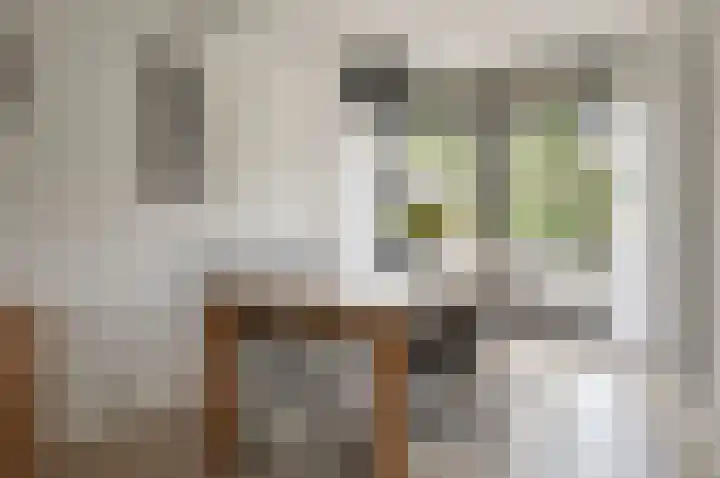 Wasbeer 1 Huizen thumbnail 12