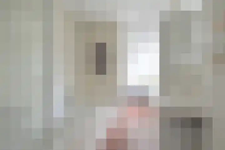 Wasbeer 1 Huizen thumbnail 21