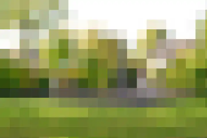 Wasbeer 1 Huizen thumbnail 26