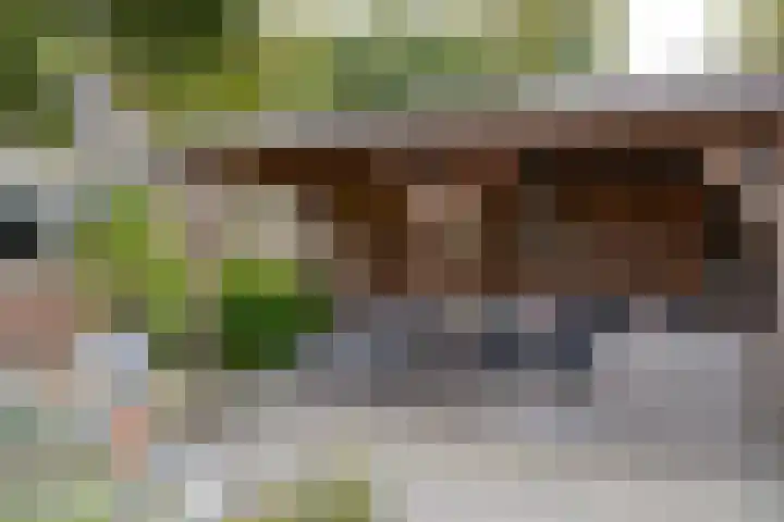 Wasbeer 1 Huizen thumbnail 4
