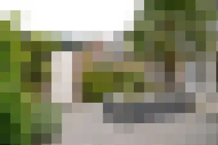 Wasbeer 1 Huizen thumbnail 6