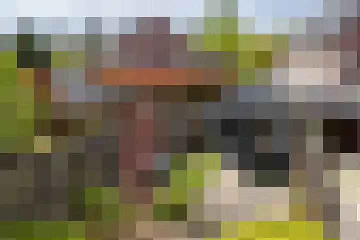 Wasbloem 8 Venray thumbnail 34