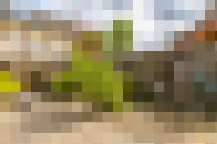 Wasbloem 8 Venray thumbnail 36