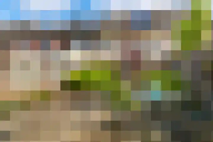 Wasbloem 8 Venray thumbnail 37
