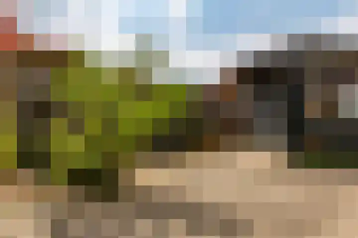 Wasbloem 8 Venray thumbnail 38