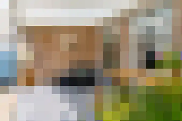 Wasbloem 8 Venray thumbnail 40