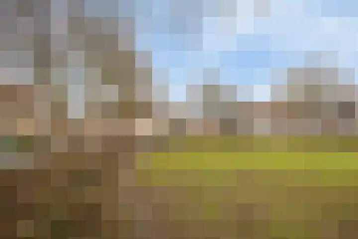 Wassenbergstraat 27 Sittard thumbnail 8
