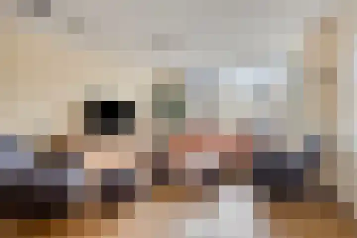 Wasser 1 Wormer thumbnail 8
