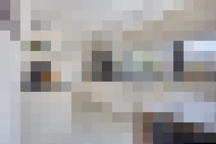 Waterbies 6 Terheijden thumbnail 12