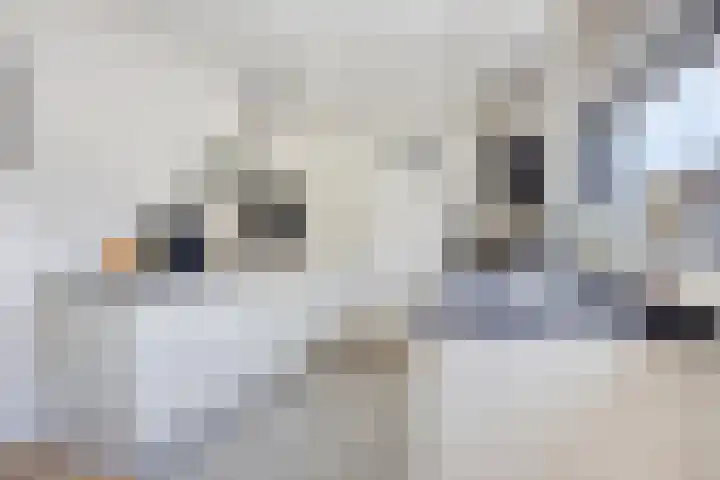 Waterbies 6 Terheijden thumbnail 13