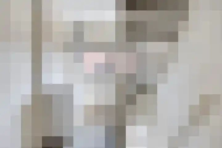 Waterbies 6 Terheijden thumbnail 15