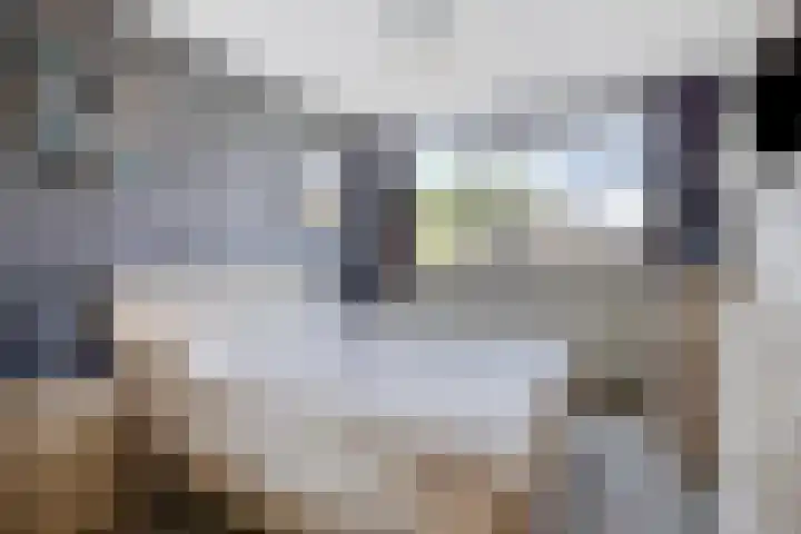 Waterbies 6 Terheijden thumbnail 16