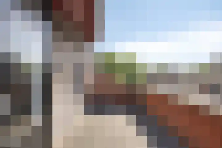 Waterbies 6 Terheijden thumbnail 27