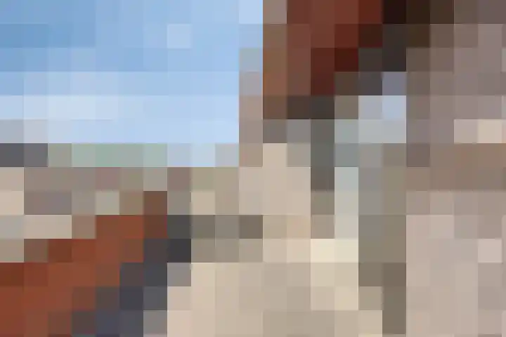 Waterbies 6 Terheijden thumbnail 28