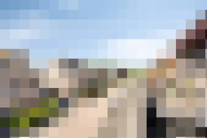 Waterbies 6 Terheijden thumbnail 29