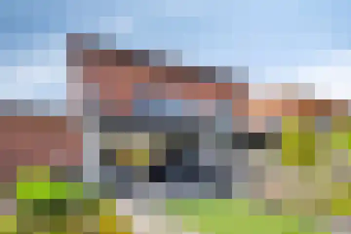 Waterbies 6 Terheijden thumbnail 31