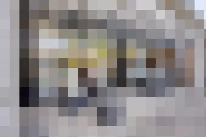 Waterbies 6 Terheijden thumbnail 32