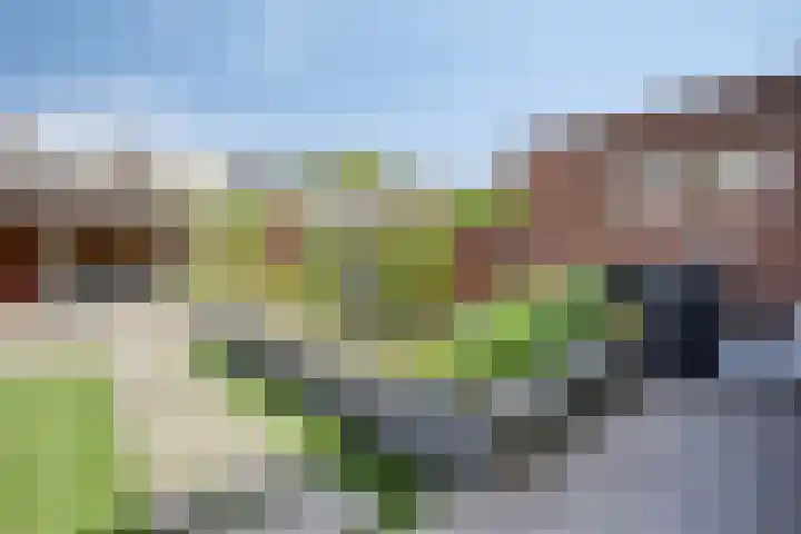 Waterbies 6 Terheijden thumbnail 33