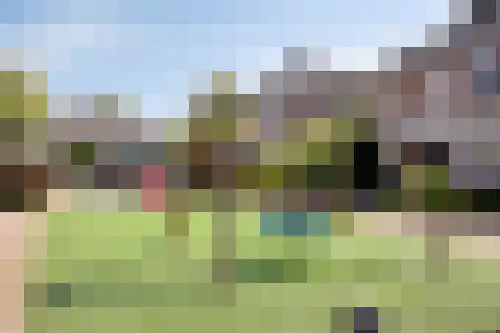 Waterbies 6 Terheijden thumbnail 37
