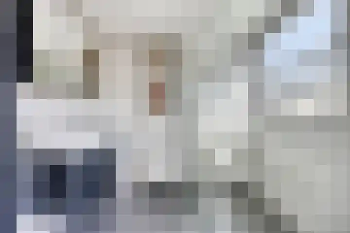 Waterbies 6 Terheijden thumbnail 4
