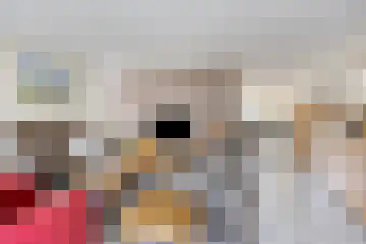 Waterbies 6 Terheijden thumbnail 9