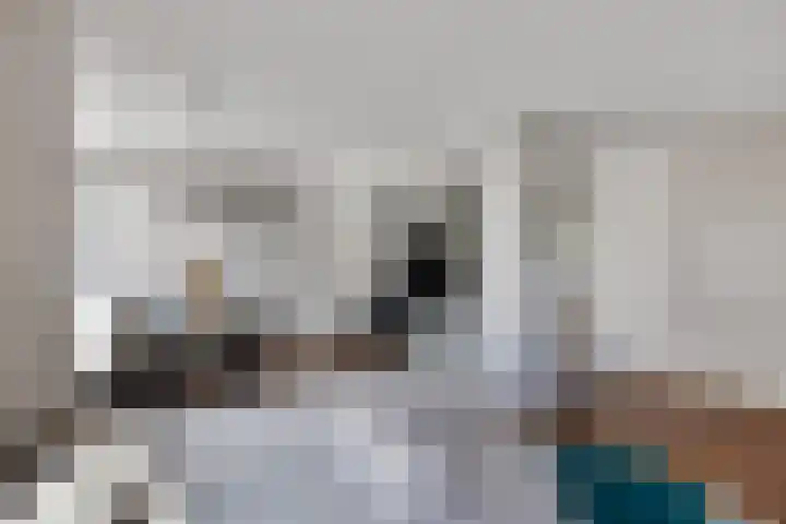 Waterbieskreek 56 Leiderdorp thumbnail 10