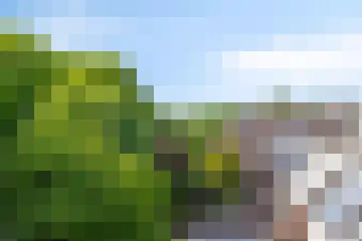Waterbieskreek 56 Leiderdorp thumbnail 38